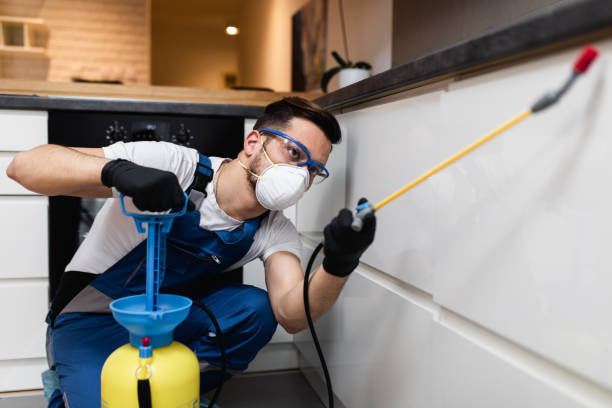 Wasp Removal Services in Lake City, GA