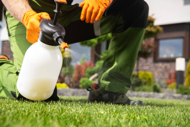Best Mosquito Control Services  in Lake City, GA