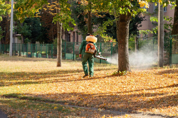 Best Commercial Pest Control Services  in Lake City, GA