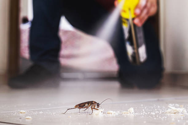 Best Emergency Pest Control  in Lake City, GA