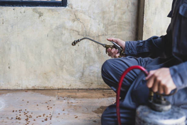 Trusted Lake City, GA Pest Control Experts